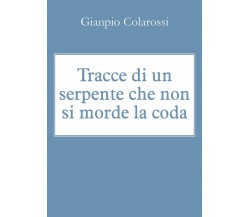 Tracce di un serpente che non si morde la coda	 di Gianpio Colarossi,  2018