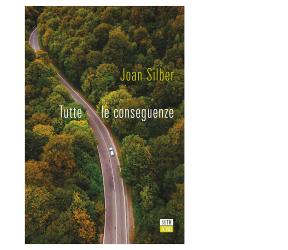 Tutte le conseguenze di Joan Silber,  2021,  66th And 2nd