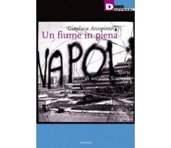 UN FIUME IN PIENA. di GIANLUCA ARCOPINTO - DeriveApprodi editore,2014