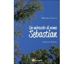 Un miracolo di nome Sebastian	 di Irriverente Sognatore,  2015,  Youcanprint