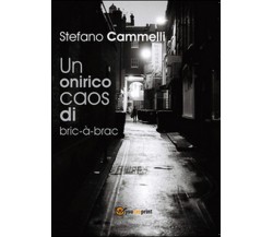 Un onirico caos di bric-à-brac	 di Stefano Cammelli,  2016,  Youcanprint