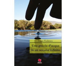 Una goccia d’acqua in un oceano infinito,Luca Tedesco,  2020,  Mitico Channel