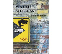 Via delle Stelle snc	 di Fantasia Delio,  2019,  Ali Ribelli Edizioni