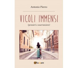 Vicoli immensi	 di Antonio Pierro,  2017,  Youcanprint