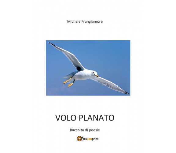 Volo planato di Michele Frangiamore,  2016,  Youcanprint