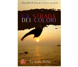 la strada dei colori: raccolta di poesie e micro racconti di Gerardo Gallo,  20